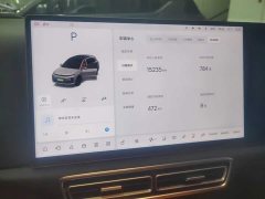 Li Auto L6 Pro - ფოტო 14