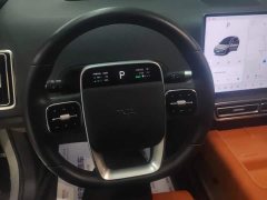 Li Auto L6 Pro - ფოტო 15