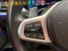 BMW 3 Series 325Li M Sport Night Edition Package - ფოტო 10