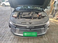 BYD Destroyer 05 Glory Edition DM-i 55KM Luxury - ფოტო 16