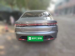 BYD Destroyer 05 Glory Edition DM-i 55KM Luxury - ფოტო 3