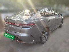 BYD Destroyer 05 Glory Edition DM-i 55KM Luxury - ფოტო 4
