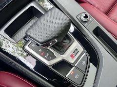 Audi A4L 200 Million Units Joyful Edition 40 TFSI Luxury Dynamic - ფოტო 13