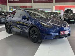 Tesla Model Y Rear-Wheel Drive - фото 3