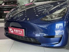Tesla Model Y Rear-Wheel Drive - фото 5