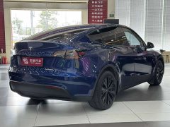 Tesla Model Y Rear-Wheel Drive - фото 6