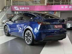Tesla Model Y Rear-Wheel Drive - фото 7