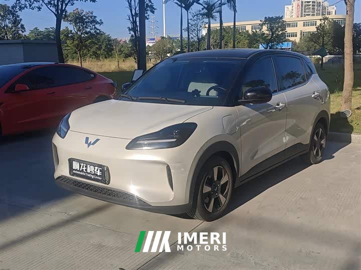 Wuling Binguo PLUS 510km 5-Seater - ავტომობილი ჩინეთიდან