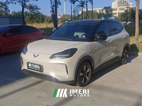 2025 Wuling Binguo PLUS 510km 5-Seater - автомобиль из Китая