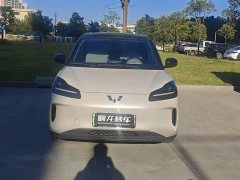 Wuling Binguo PLUS 510km 5-Seater - ფოტო 2