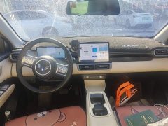 Wuling Binguo PLUS 510km 5-Seater - ფოტო 8