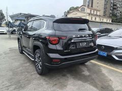 Haval Big Dog PLUS 1.5T Two-Wheel Drive Trendy Wilderness Edition Plus - фото 12