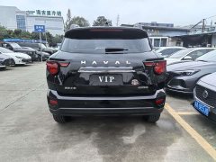 Haval Big Dog PLUS 1.5T Two-Wheel Drive Trendy Wilderness Edition Plus - фото 13