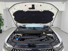 Haval H6 National Trend Edition 1.5T Automatic Champion Version - фото 20