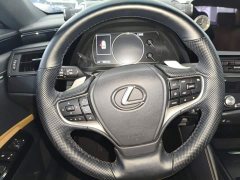 Lexus ES 200 Excellence Edition - ფოტო 10