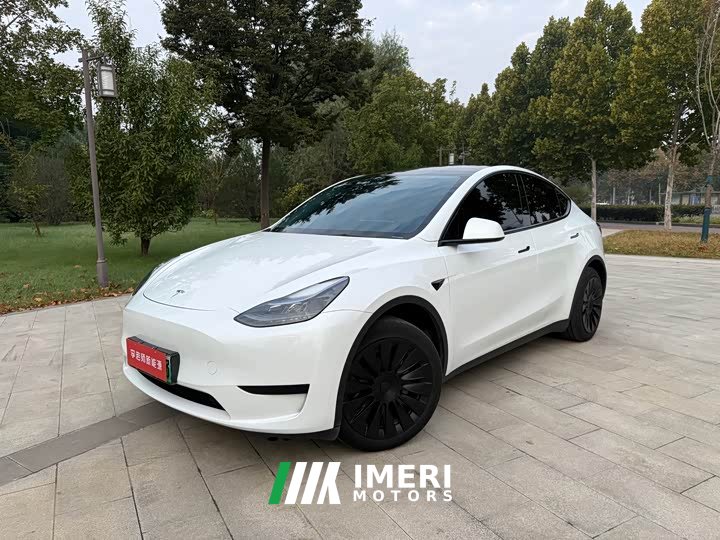 Tesla Model Y Rear-Wheel Drive - автомобиль из Китая