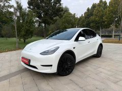 Tesla Model Y Rear-Wheel Drive - фото 1