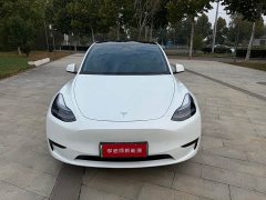 Tesla Model Y Rear-Wheel Drive - фото 2
