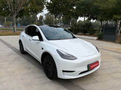 Tesla Model Y Rear-Wheel Drive - фото 3
