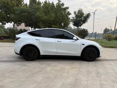 Tesla Model Y Rear-Wheel Drive - фото 4
