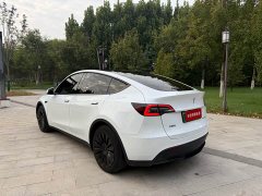 Tesla Model Y Rear-Wheel Drive - фото 6