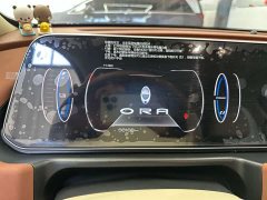 ORA Good Cat 400km Standard Range Athena Edition Ternary Lithium - photo 10