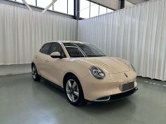 ORA Good Cat 400km Standard Range Athena Edition Ternary Lithium - photo 3