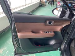 Wuling Starlight S 60km Advanced Edition - ფოტო 10