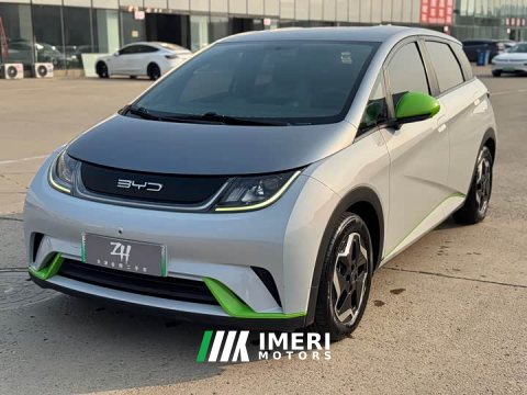 2022 BYD Dolphin 405km Freedom Edition - ავტომობილი ჩინეთიდან