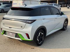 BYD Dolphin 405km Freedom Edition - ფოტო 4