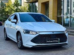 BYD Qin Plus DM-i 55KM Flagship - photo 3