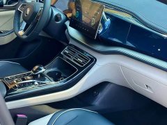 BYD Qin Plus DM-i 55KM Flagship - photo 6
