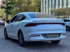 BYD Qin Plus DM-i 55KM Flagship - photo 7