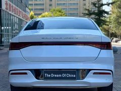 BYD Qin Plus DM-i 55KM Flagship - photo 8