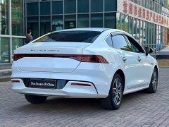 BYD Qin Plus DM-i 55KM Flagship - photo 9