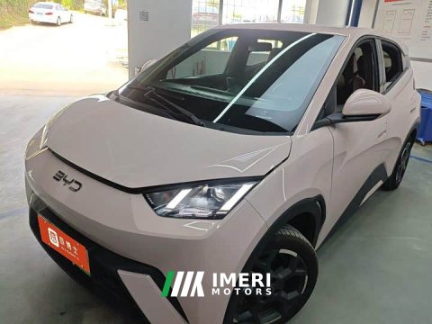 2024 BYD Seagull Glory Edition 405km Flying Edition - ავტომობილი ჩინეთიდან