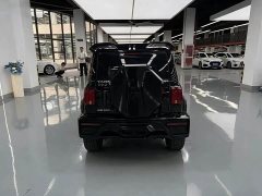 Tank 300 Off-Road Edition 2.0T Conqueror - ფოტო 13