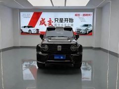 Tank 300 Off-Road Edition 2.0T Conqueror - ფოტო 2