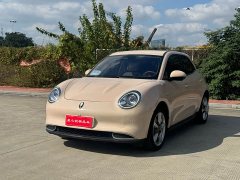 ORA Good Cat 400km Standard Range Venus Edition Ternary Lithium Battery - ფოტო 1