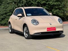 ORA Good Cat 400km Standard Range Venus Edition Ternary Lithium Battery - ფოტო 3