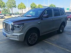 Tank 500 3.0T Special Edition 5-Seater - ფოტო 2