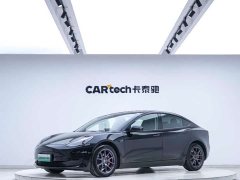 Tesla Model 3 Rear-Wheel Drive - ფოტო 1