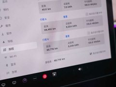 Tesla Model 3 Rear-Wheel Drive - ფოტო 11