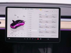 Tesla Model 3 Rear-Wheel Drive - ფოტო 14