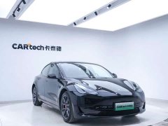 Tesla Model 3 Rear-Wheel Drive - ფოტო 2