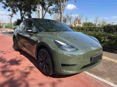 Tesla Model Y Rear-Wheel Drive - ფოტო 2