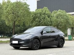 Tesla Model Y Rear-Wheel Drive - ფოტო 1