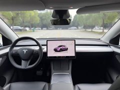 Tesla Model Y Rear-Wheel Drive - ფოტო 13