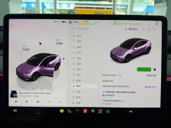 Tesla Model Y Rear-Wheel Drive - ფოტო 15