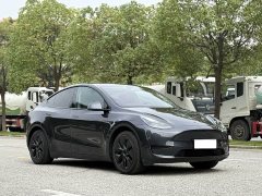 Tesla Model Y Rear-Wheel Drive - ფოტო 3